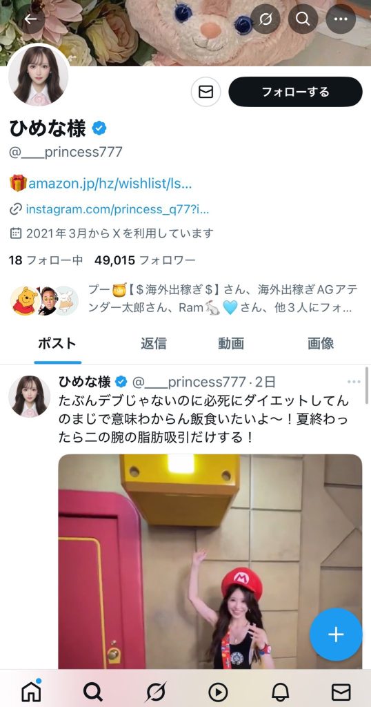 ひめな様 X(Twitter)